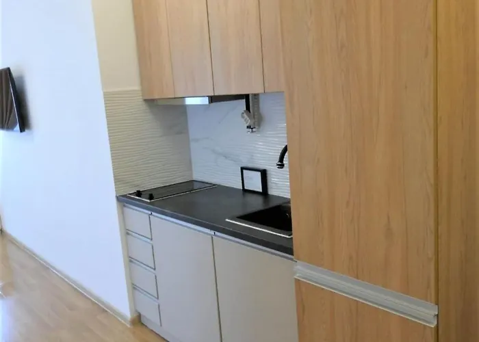 Daire Cu La Mare-sea View Tomis Promenada *